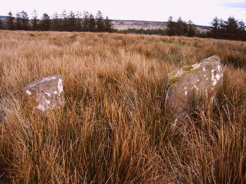 Click for the gallery page to add comments and vote (PID:13019) Glantane East NE