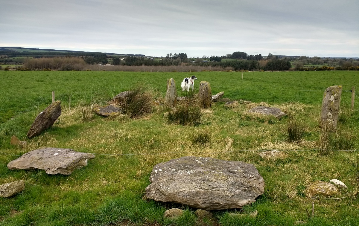 Looking over the axial stone to the portal stones (and Borzoi). 

Approx NE to SW.

Photo taken March 2020