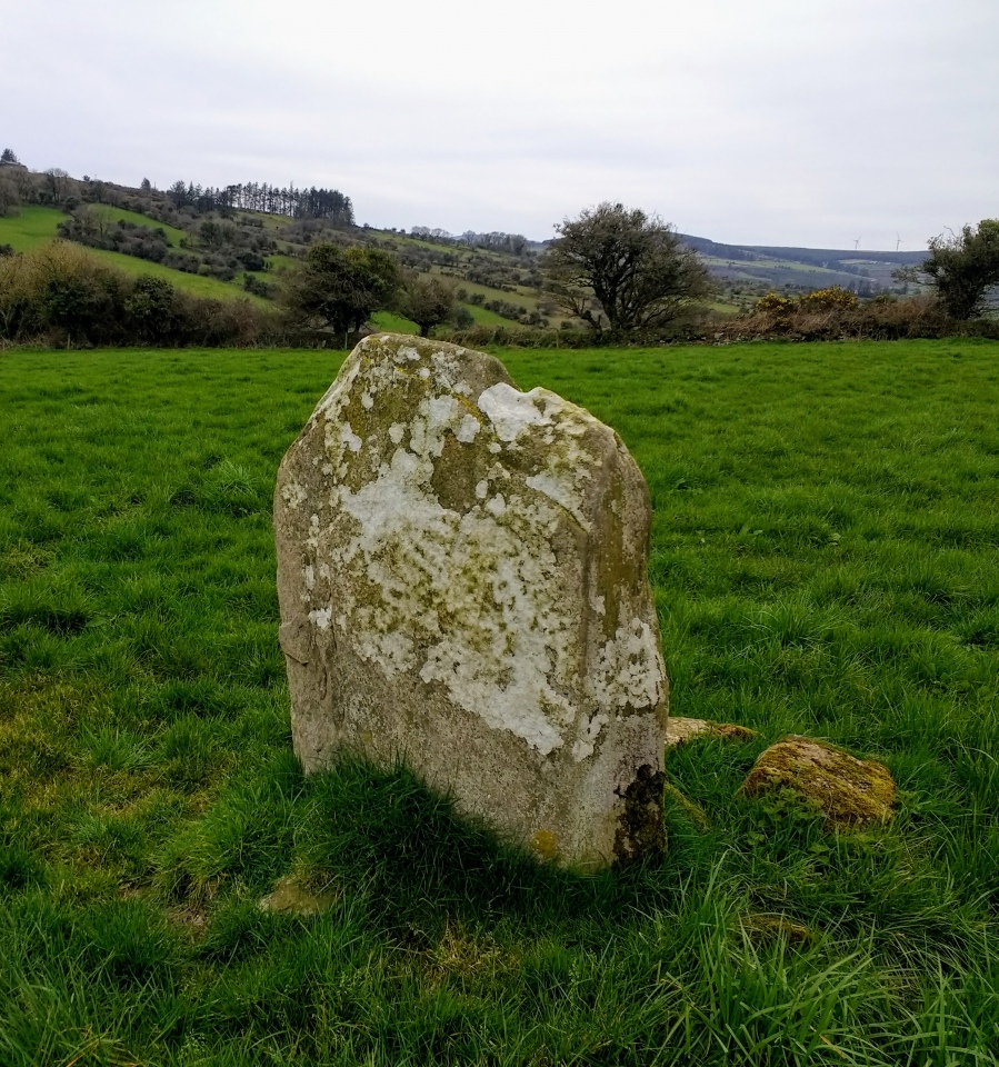 Click for the gallery page to add comments and vote (PID:209467) Kilmartin Lower stone