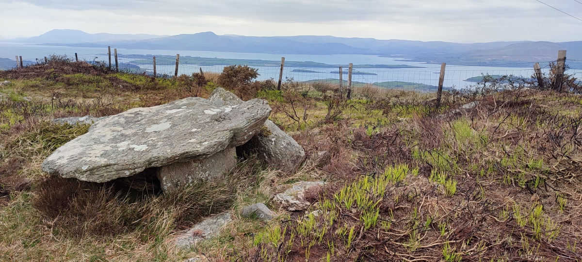 Looking north west over Bantry Bay and Whiddy Island towards the Beara peninsula.

Photo taken April 2023.