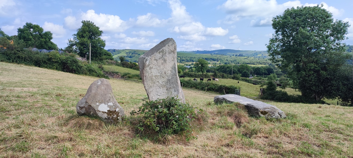 Click for the gallery page to add comments and vote (PID:264976) Turnaspidogy stone row