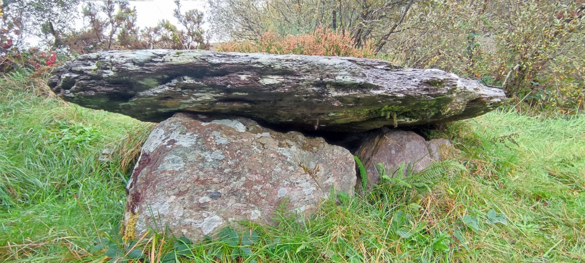 Barnagowlane West wedge tomb