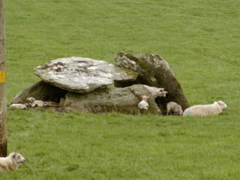 Click for the gallery page to add comments and vote (PID:13104) Killough East Wedge Tomb