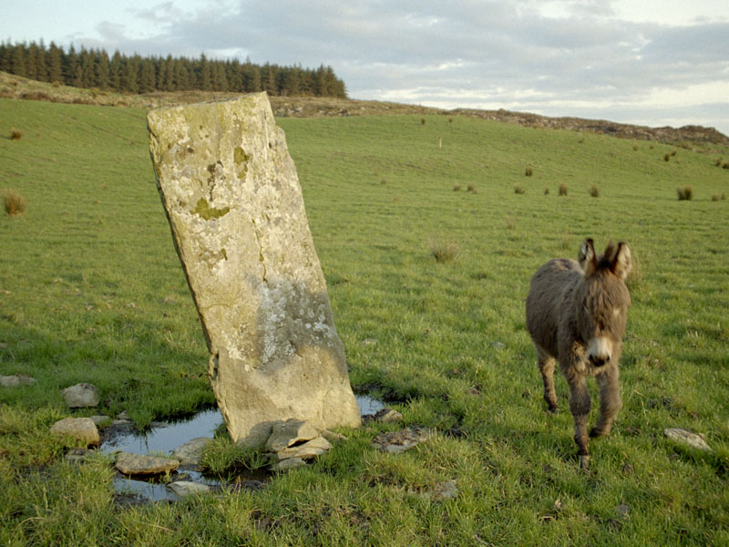 Click for the gallery page to add comments and vote (PID:13106) Knocknakilla Standing Stone