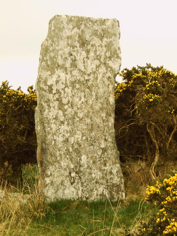 Leitrim Beg Standing Stone