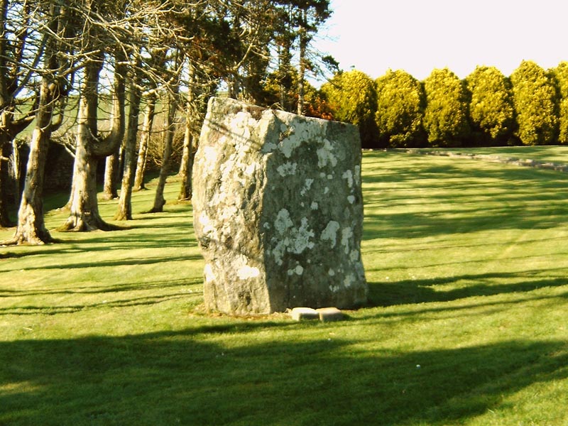 Click for the gallery page to add comments and vote (PID:13026) Lisnagun Standing Stone