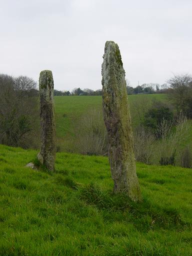 South Kilcullen cist and Ogham stone