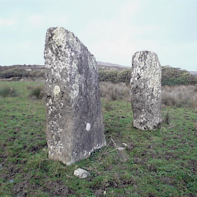 Photo used by kind permission of Tom Bullock. More details of this location are to be found on his Stone Circles and Rows CD-ROM.
