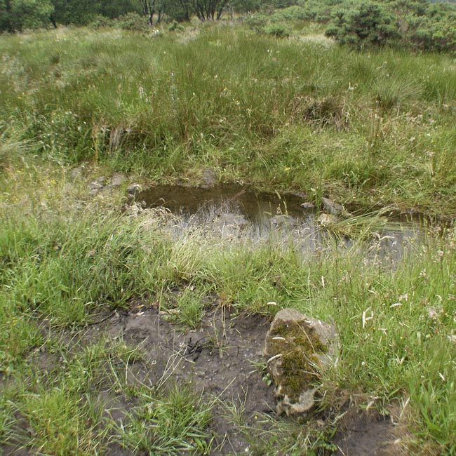 Click for the gallery page to add comments and vote (PID:10893) Lumnagh More