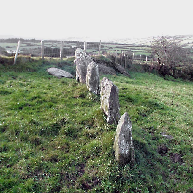 Click for the gallery page to add comments and vote (PID:10907) Tullig Stone Row
