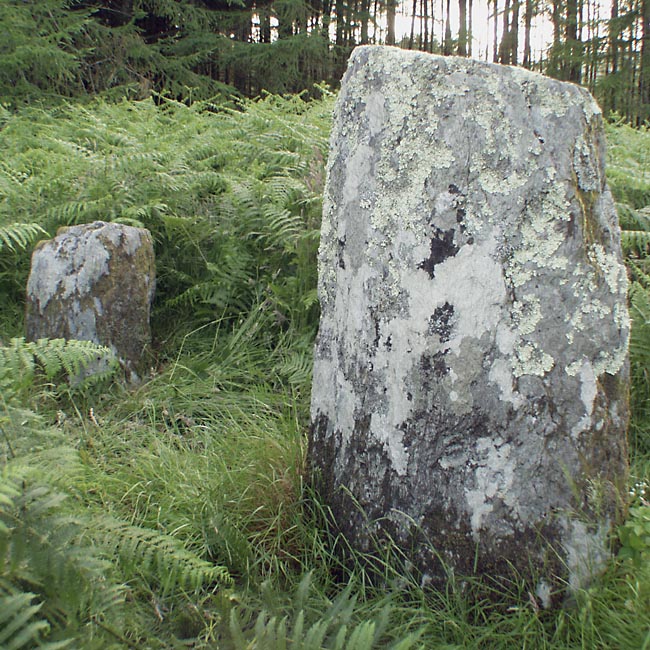 Photo used by kind permission of Tom Bullock. More details of this location are to be found on his Stone Circles and Rows CD-ROM.