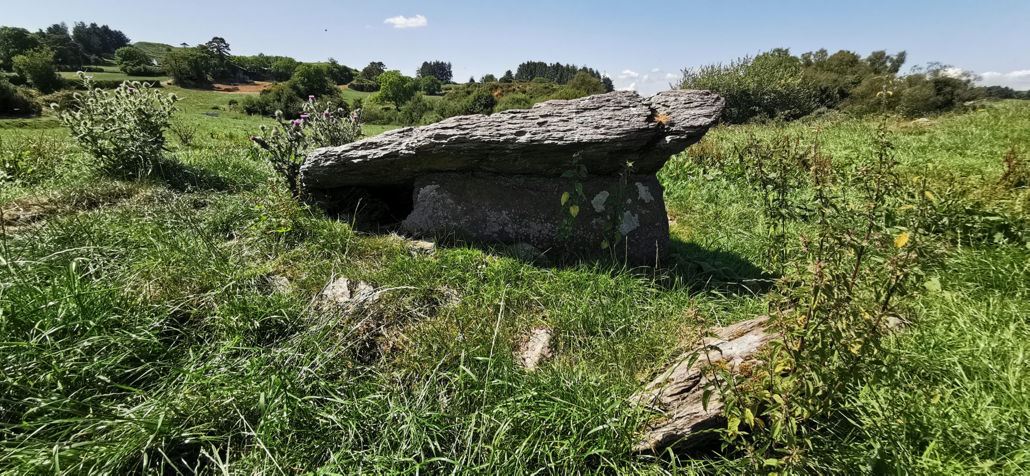 Click for the gallery page to add comments and vote (PID:230065) Knockane wedge tomb