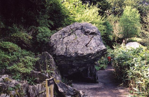 Blarney Dolmen