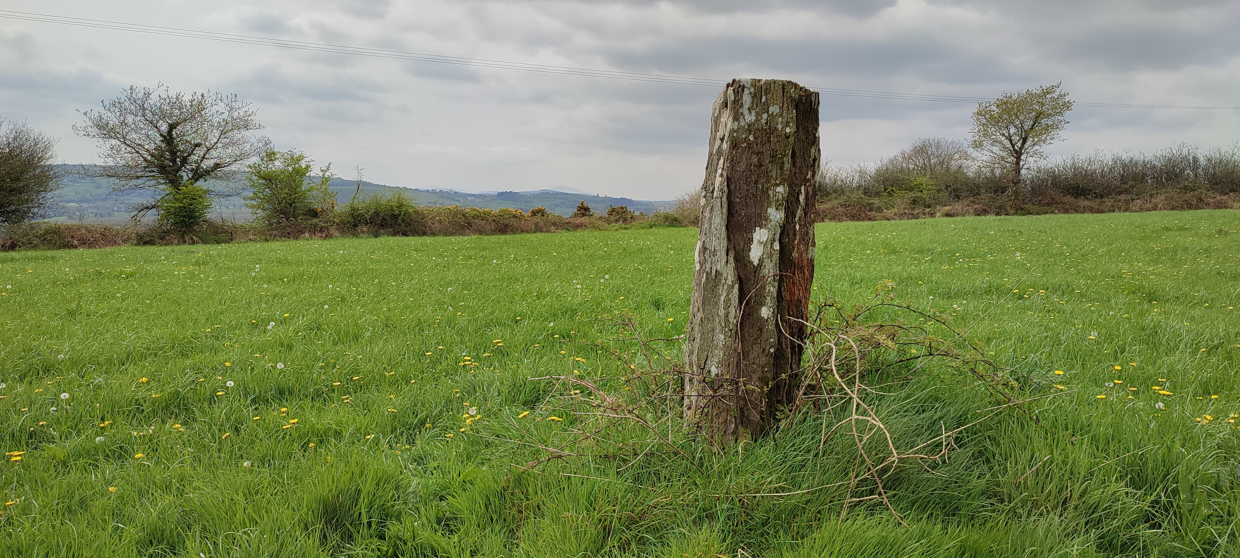Click for the gallery page to add comments and vote (PID:244047) Coolacresig standing stone