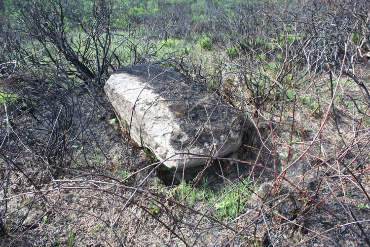 Click for the gallery page to add comments and vote (PID:57654) Unidentified (W242882)