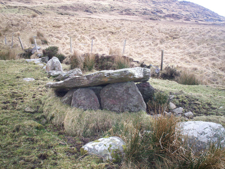 Click for the gallery page to add comments and vote (PID:54776) Kilmackowen Wedge Tomb
