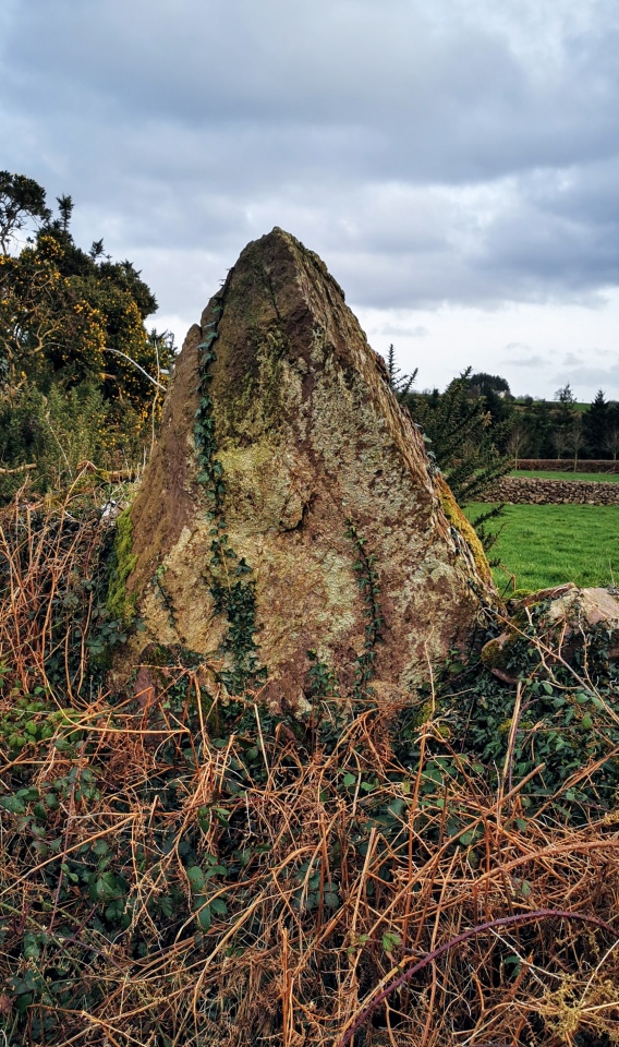 Click for the gallery page to add comments and vote (PID:223909) Leadawillin Stone