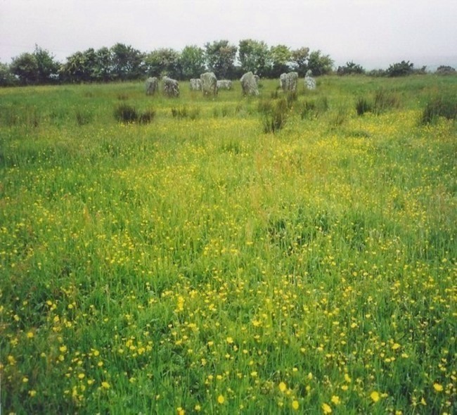 Reanascreena