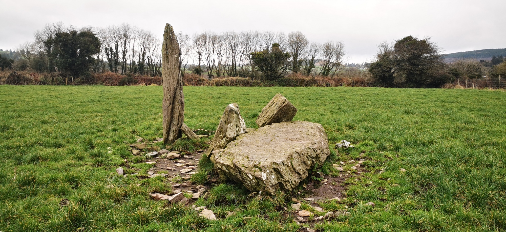 Island Standing Stones