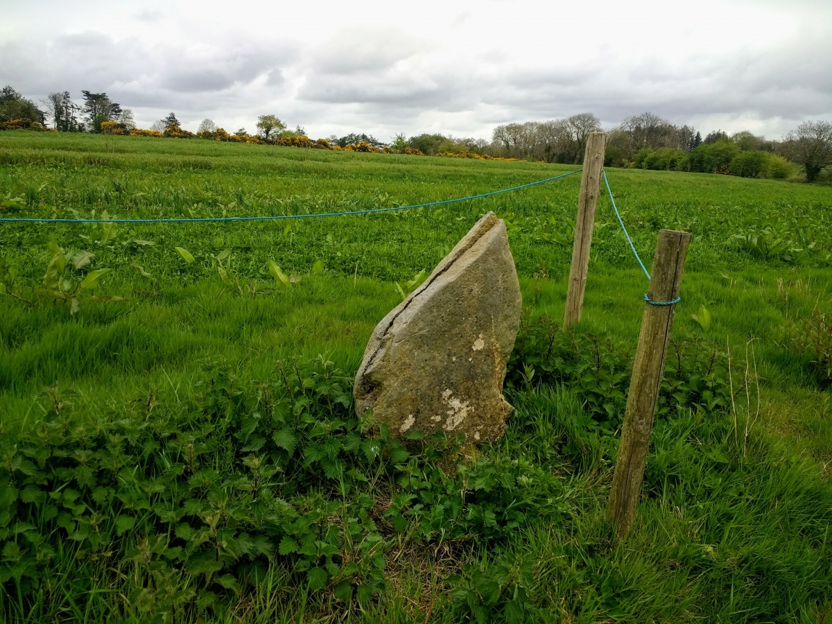 Ballinvuskig standing stone (north)