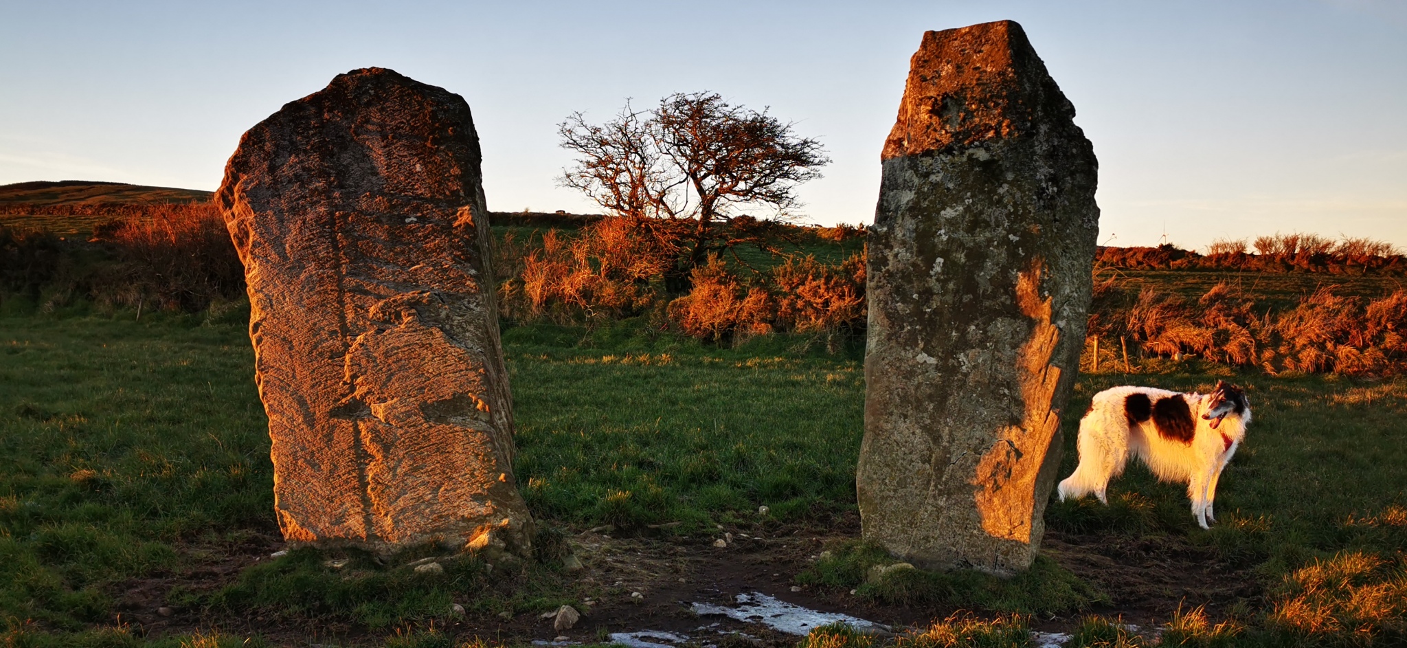 Meenahony south pair