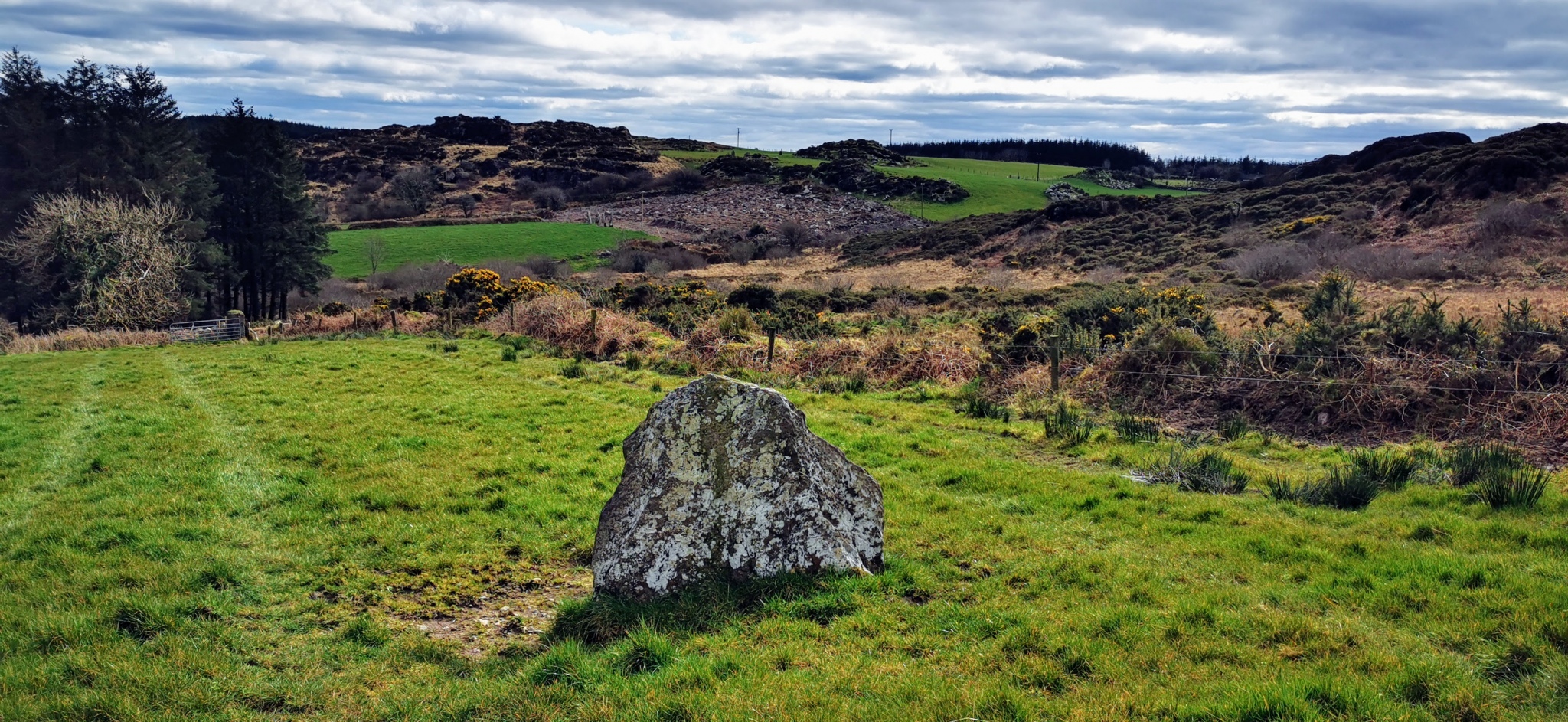 Click for the gallery page to add comments and vote (PID:225076) Cabragh North stone