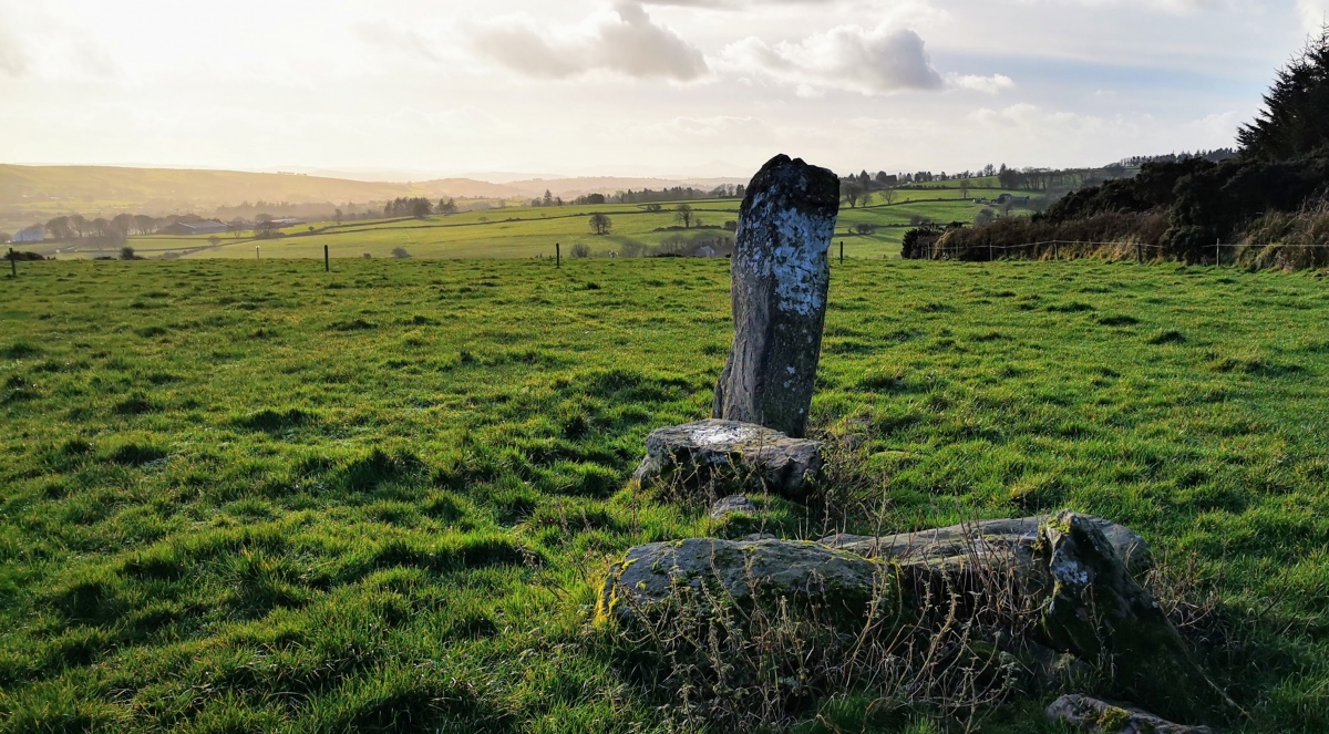 Click for the gallery page to add comments and vote (PID:223409) Coolgarriff Stone Row