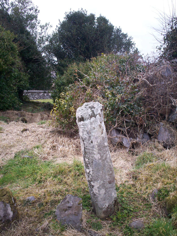 Click for the gallery page to add comments and vote (PID:55071) Kilcaskin