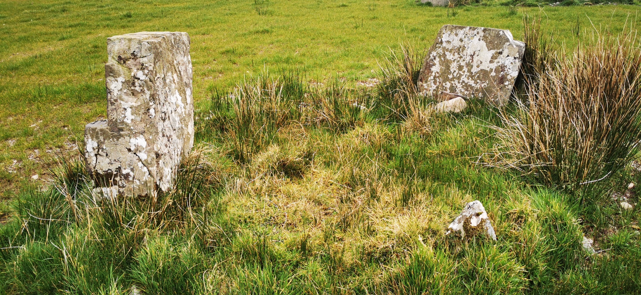 Click for the gallery page to add comments and vote (PID:224938) Carrigonirtane stone circle
