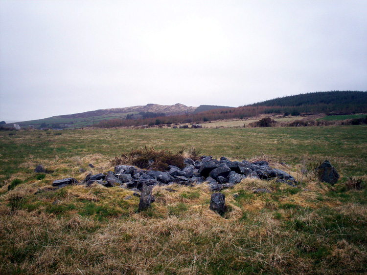 This is a robbed out radial cairn.
Associated with the stone circle visible directly behind and the White Quartz stone row visible at the extreme left.