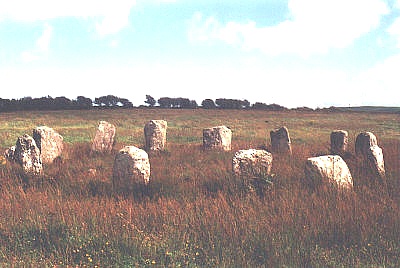 Reanascreena