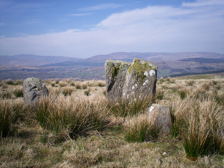 Click for the gallery page to add comments and vote (PID:55664) Maughanaclea Centre