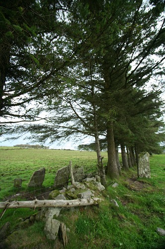 Click for the gallery page to add comments and vote (PID:36218) Reananerre row