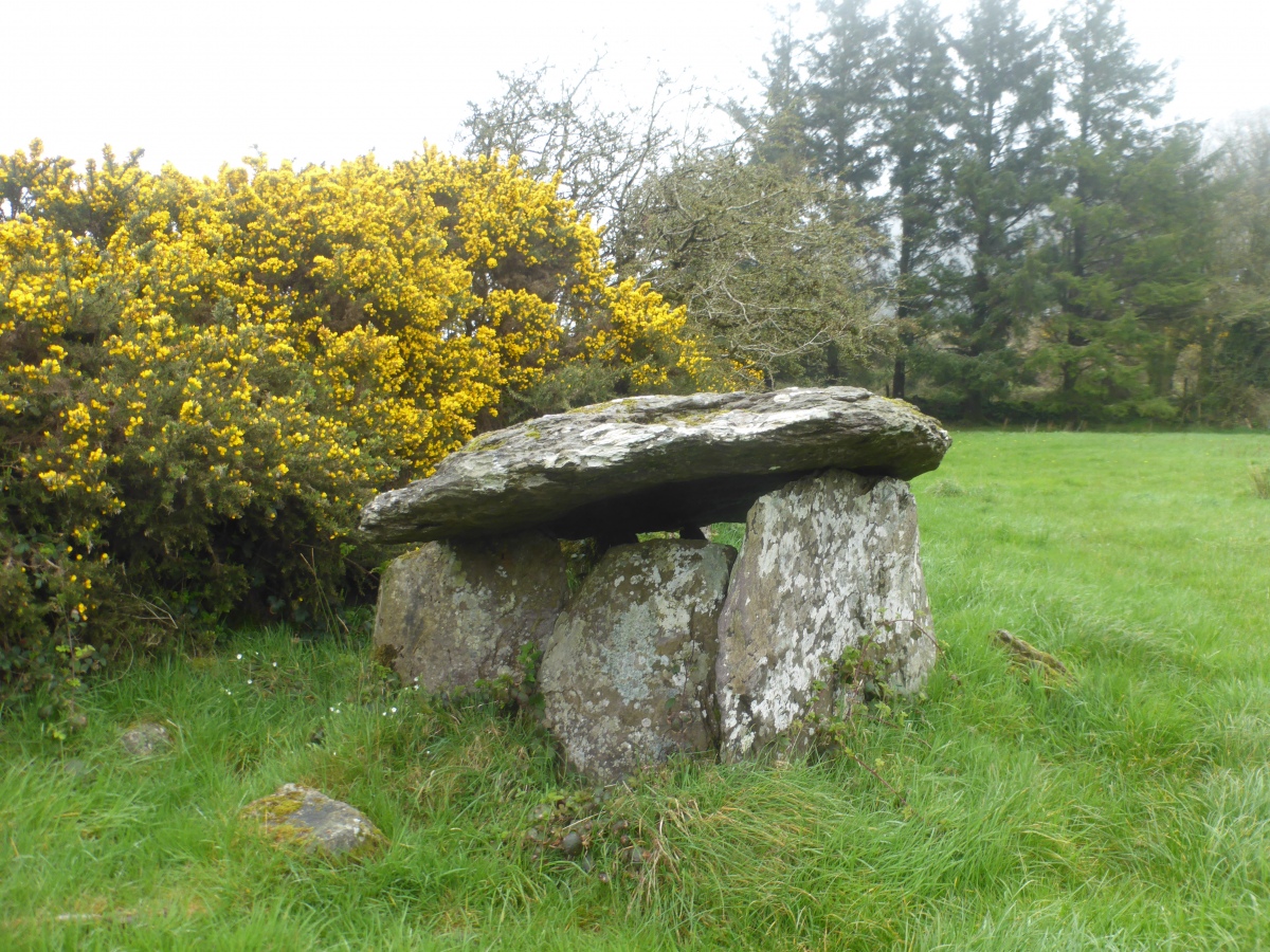 Click for the gallery page to add comments and vote (PID:257806) Bealick Wedge Tomb