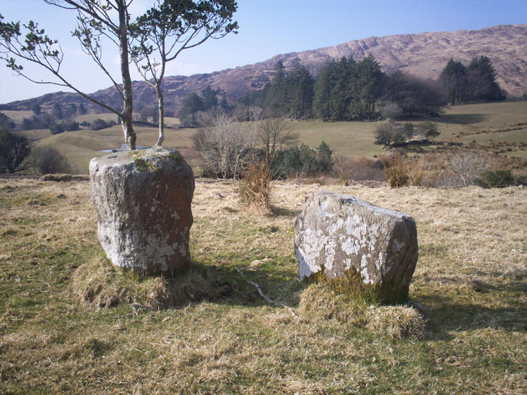 Click for the gallery page to add comments and vote (PID:54947) Cullenagh Stone Circle