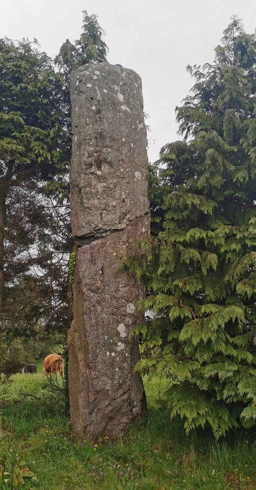 Click for the gallery page to add comments and vote (PID:227754) Goirtin Na Coille standing stone (north)