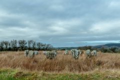 Reanascreena - PID:160469 Reanascreena - PID:160469