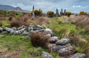 Ardgroom Stone Circle