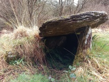 Barnagowlane West wedge tomb