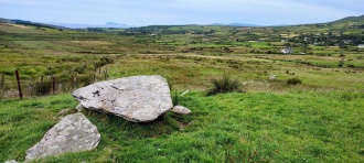 Kilmackowen Wedge Tomb