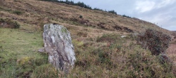 An Com Liath Thoir standing stone - PID:272701