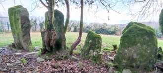 Dromdrasdil stone row