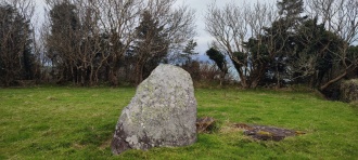 Dún Mánais Thoir standing stone