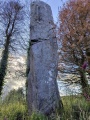 Goirtin Na Coille standing stone (north) - PID:274716