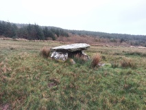 Ballynahowen Wedge Tomb