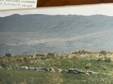 Ardgroom Stone Circle - PID:282962