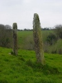 South Kilcullen cist and Ogham stone - PID:36130