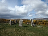 Derreenataggart