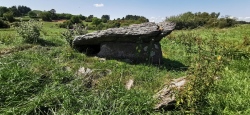 Knockane wedge tomb - PID:230065