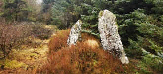 Garrane standing stones (pair)
